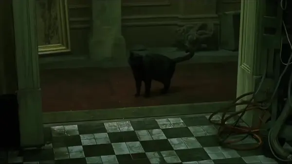 The 'glitch in the Matrix' scene: An animated GIF where Neo observes a black cat walk past him twice in the exact same way, a repeating anomaly that makes him say 'déjà vu.'